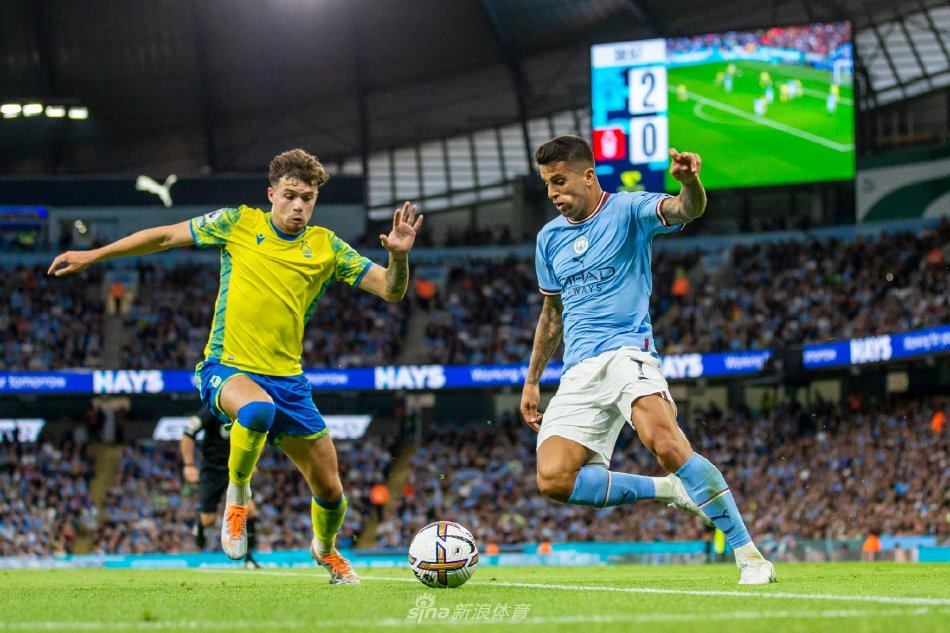 队实力的直 队实力的直